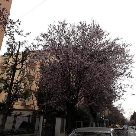 La Casa Di Laura